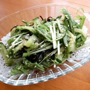 やみつき‼ごま香る水菜と胡瓜の塩昆布サラダ